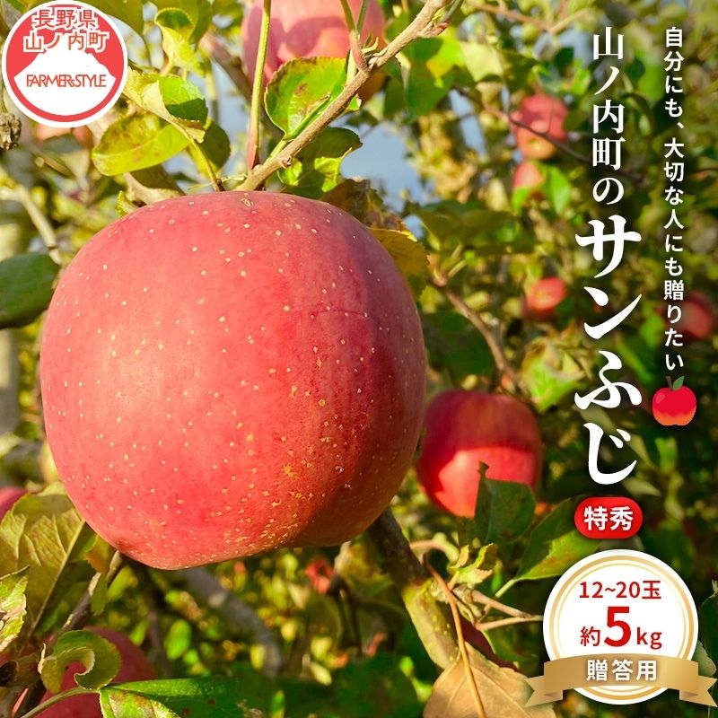 【ふるさと納税】りんご 先行予約 贈答用 サンふじ 特秀 5kg フルーツ 果物 ギフト 2026年 12月 発送　お届け：2026年12月上旬～下旬