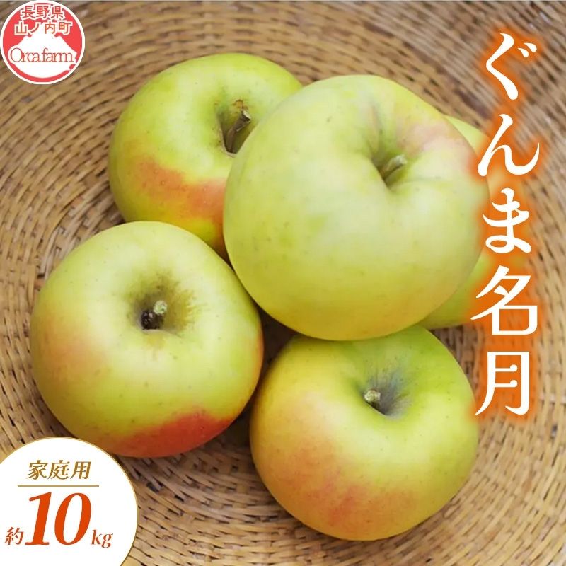 【ふるさと納税】ぐんま名月 家庭用 約10kg りんご リンゴ 林檎 果物 フルーツ 長野県 長野 山ノ内町　お届け：2026年10月下旬～11月下旬 17,020円