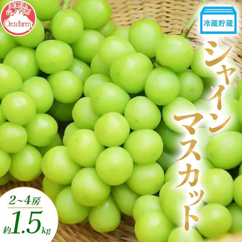 【ふるさと納税】冷蔵貯蔵 シャインマスカット 2～4房 約1.5kg ぶどう ブドウ 葡萄 マスカット 果物 フルーツ 長野県 長野 山ノ内町　お届け：2026年12月上旬～12月下旬
