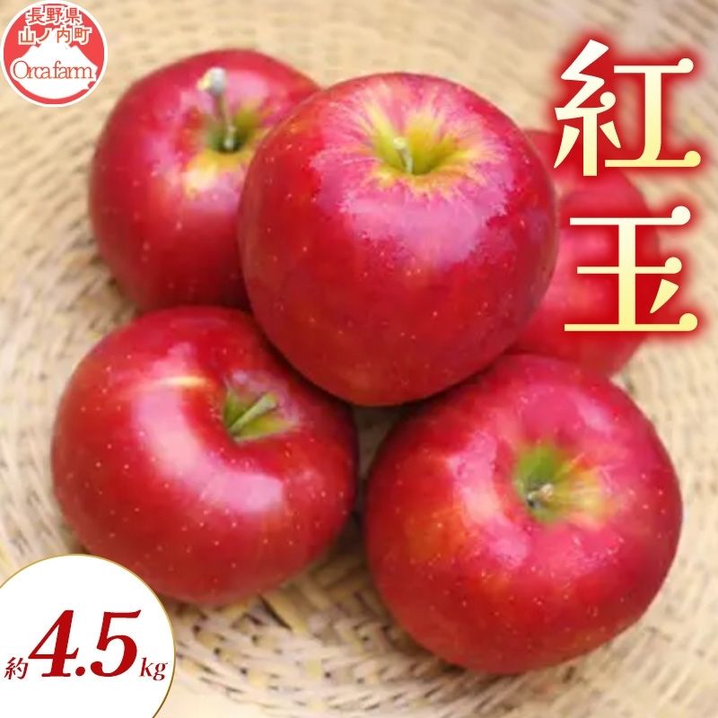 【ふるさと納税】紅玉 約4.5kg りんご リンゴ 林檎 果物 フルーツ 長野県 長野 山ノ内町　お届け：2026年9月下旬～10月下旬