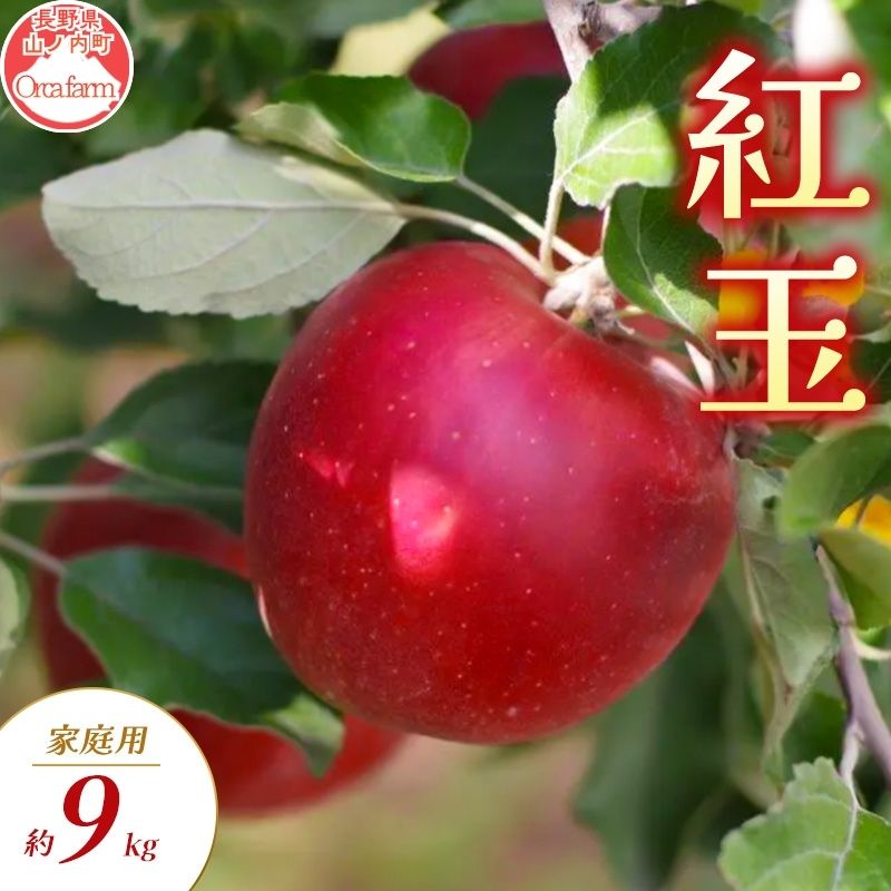 【ふるさと納税】紅玉 家庭用 約9kg りんご リンゴ 林檎 果物 フルーツ 長野県 長野 山ノ内町　お届け：2026年9月下旬～10月下旬