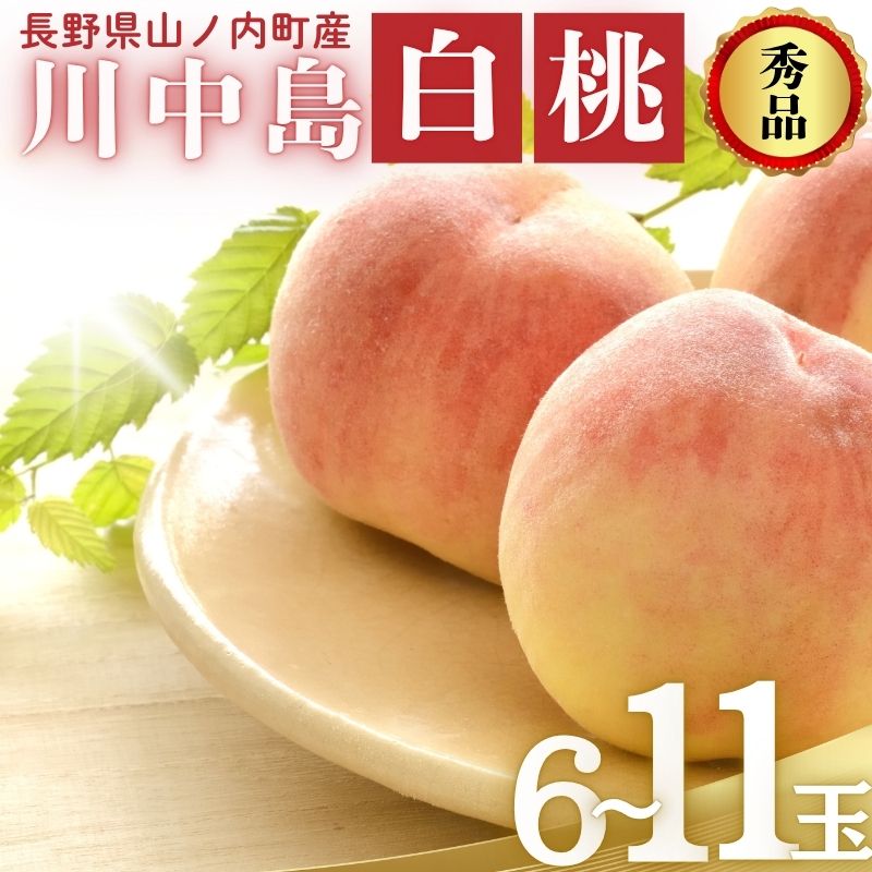 【ふるさと納税】桃 先行予約 川中島白桃 秀品 約 3kg (6～11玉) フルーツ 果物 夏 旬 2026年 8月発送　お届け：2026年8月初旬～下旬｜長野県山ノ内町