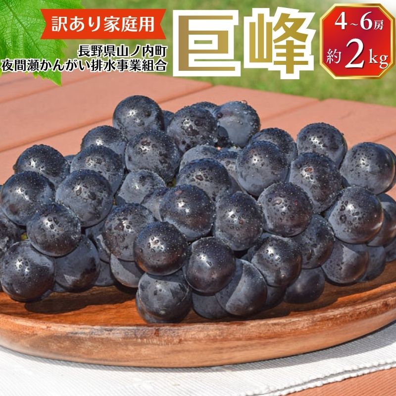 【ふるさと納税】【2026年9月～発送】種無し巨峰 訳あり家庭用 約2kg 4～6房 ぶどう 葡萄 巨峰 果物 信州 長野　お届け：2026年9月中旬～10月中旬｜長野県山ノ内町