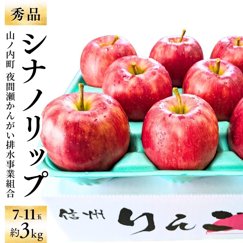 【ふるさと納税】【2026年8月発送】シナノリップ 秀品 約3kg 7～11玉 りんご 果物 信州 長野　お届け：2026年8月中旬～下旬
