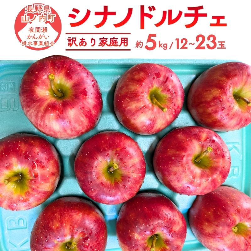 【ふるさと納税】【2026年9月~発送】シナノドルチェ 訳あり家庭用 約5kg(12~23玉) りんご 果物 訳あり 信州 長野 お届け:2026年9月中旬~10月中旬