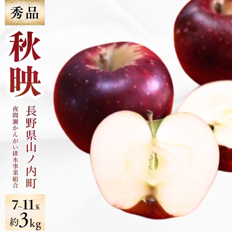 【ふるさと納税】【2026年10月発送】秋映 秀品 約3kg 7～11玉 りんご 果物 信州 長野　お届け：2026年10月上旬～中旬