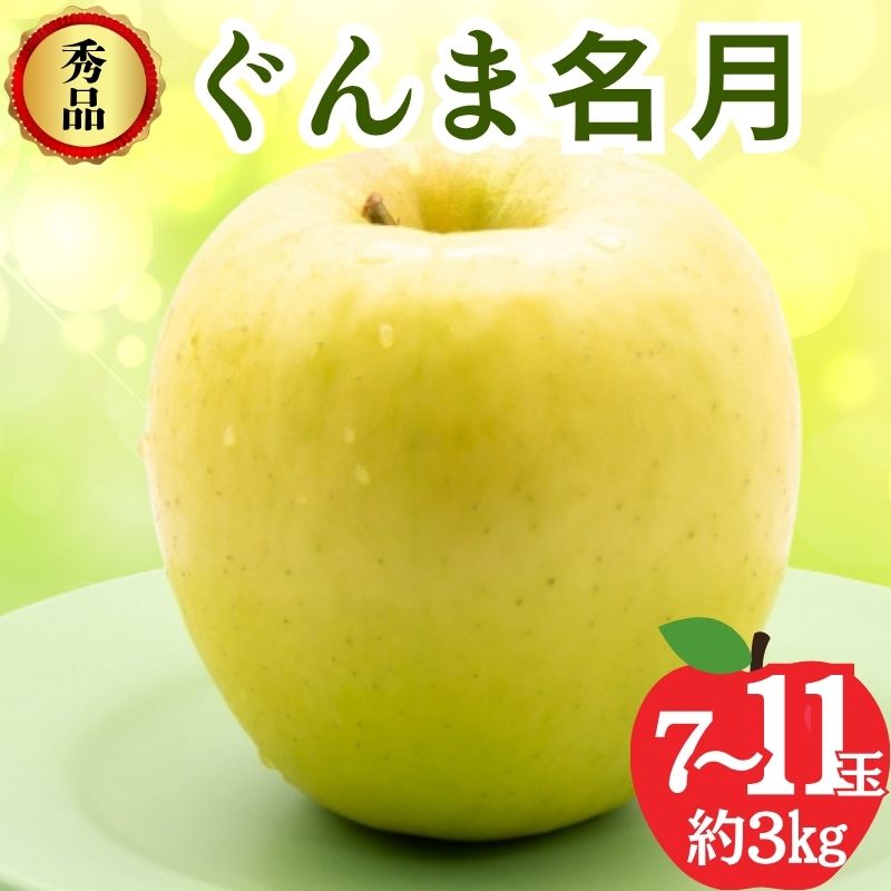 【ふるさと納税】【2026年11月発送】ぐんま名月 秀品 約3kg 7～11玉 りんご 果物 信州 長野　お届け：2026年11月上旬～下旬