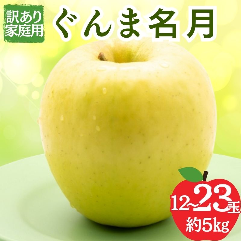 【ふるさと納税】りんご 訳あり 家庭用 ぐんま名月 約 5kg (12～23玉) 黄色 不揃い 秋 2026年 11月発送　お届け：2026年11月上旬～下旬