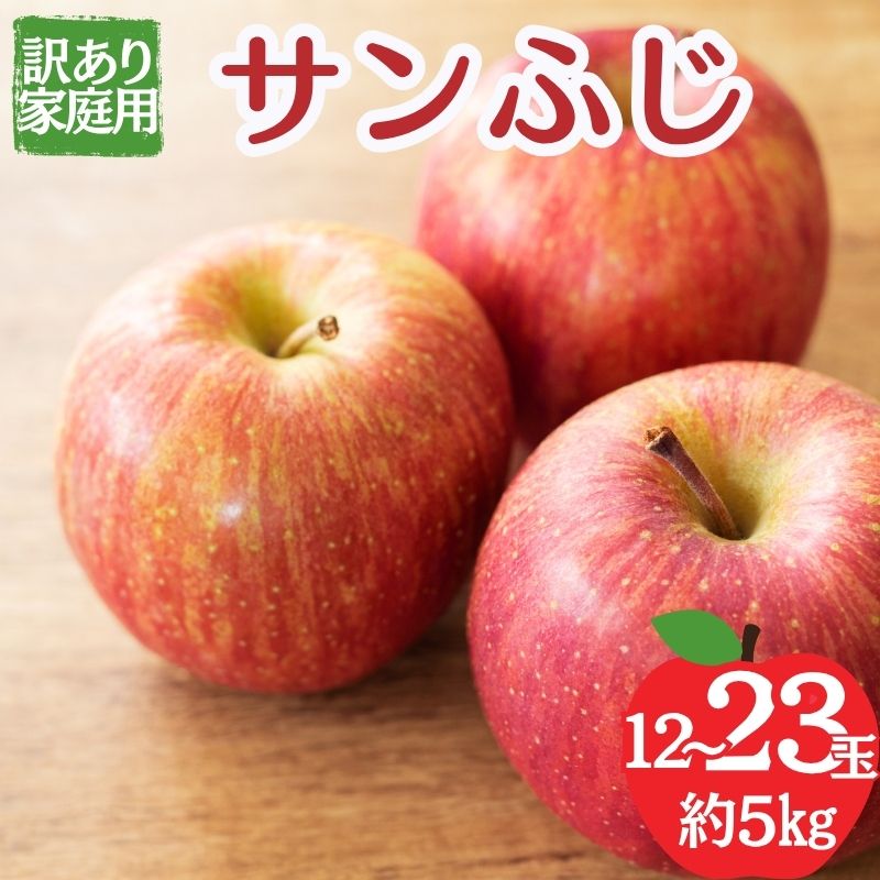 【ふるさと納税】【2026年12月発送】サンふじ 訳あり家庭用 約5kg 12～23玉 りんご 果物 訳あり 信州 長野　お届け：2026年12月上旬～下旬