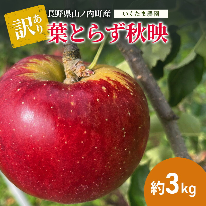 【ふるさと納税】【2026年9月～発送】訳あり 秋映 約3kg リンゴ りんご フルーツ 果物 お取り寄せ 長野県 山ノ内町　お届け：2026年9月下旬～10月下旬まで