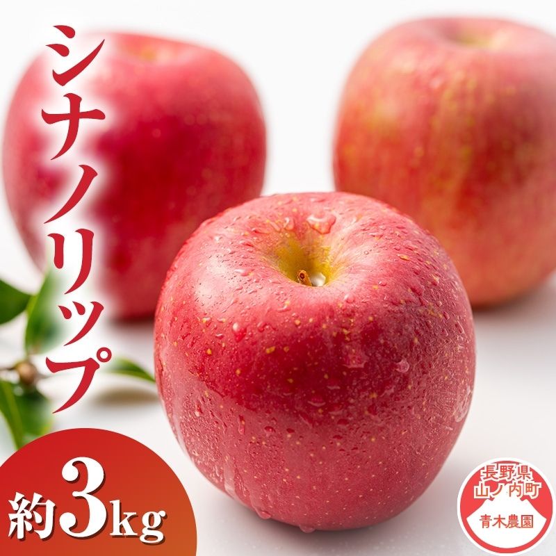 【ふるさと納税】【2026年8月～発送】シナノリップ約3kg りんご 長野県産　お届け：2026年8月下旬～9月上旬まで｜長野県山ノ内町