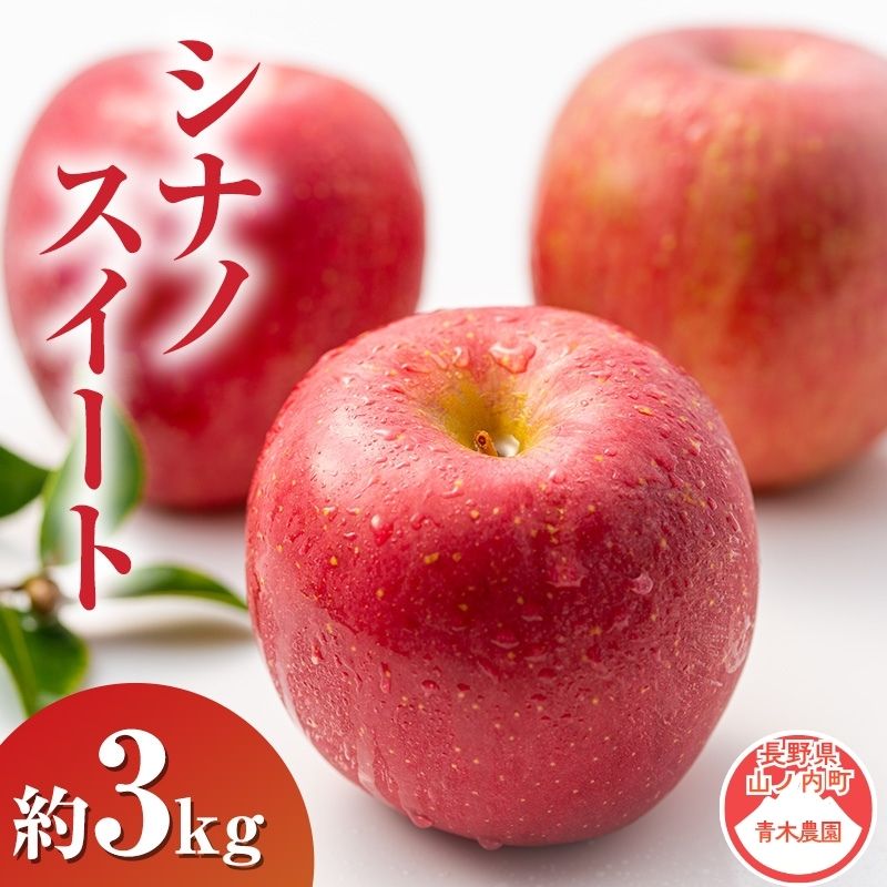 【ふるさと納税】【2026年10月発送】 シナノスイート約3kg 7～9玉 りんご 長野県産　お届け：2026年10月上旬～10月下旬まで｜長野県山ノ内町