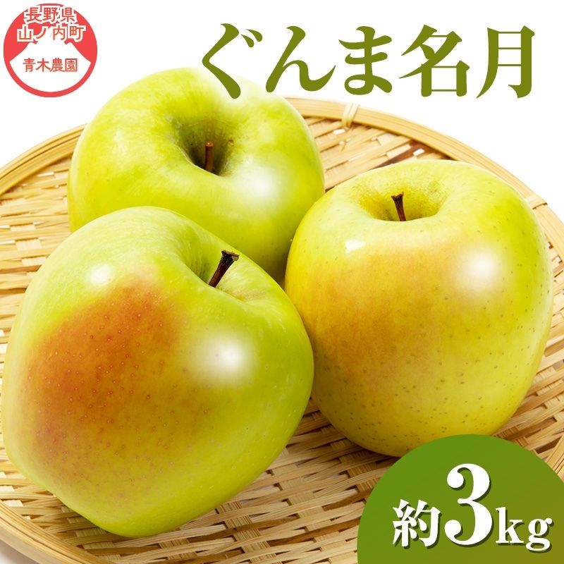 【ふるさと納税】【2026年11月発送】 ぐんま名月約3kg 7～9玉 りんご 長野県産　お届け：2026年11月上旬～11月下旬まで