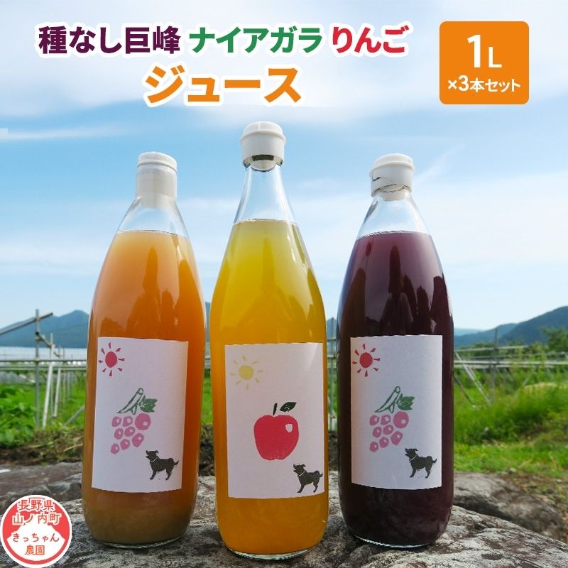 【ふるさと納税】種無し巨峰 ナイアガラ りんごジュース1L×3本セット フルーツ 長野県　お届け：寄附入金確認後、順次発送