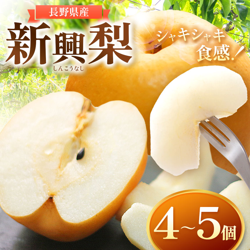 【ふるさと納税】*【2025年先行予約】 木島平村産 新興梨 4～5個入り | 果物 フルーツ fruits  梨 なし 木島平村 長野県 信州 北信州