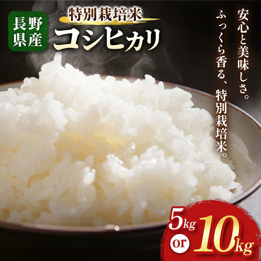 【ふるさと納税】木島平産 特別栽培米 コシヒカリ 約5kg、10kg 選べます TANAKA FARM | 米 特別栽培米 コシヒカリ 低農薬 長野 長野県 長野県産 木島平村 木島平村産|長野県木島平村