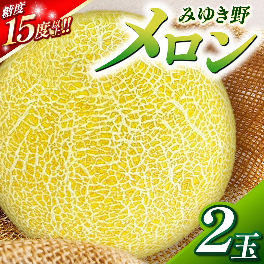 【ふるさと納税】 【2025年先行予約】*みゆき野メロン2玉 | メロン みゆき野メロン 果物 フルーツ fruits メロン めろん 木島平村 長野県 信州 北信州画像