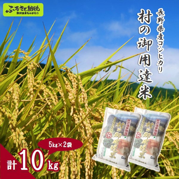 楽天市場】【ふるさと納税】信州の伝統工芸品 あけび蔓細工 盛籠 丸透かし編み | B-2｜伝統工芸 伝統技術 ファッション インテリア かご おしゃれ  プレゼント お土産 おみやげ 長野県 野沢温泉村 : 長野県野沢温泉村