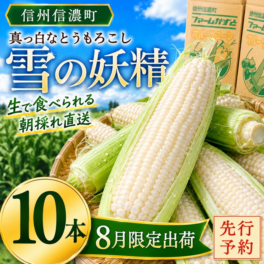【ふるさと納税】《先行予約》真っ白なとうもろこし｢雪の妖精｣ 生で食べられる ホワイトコーン 朝採れ直送　令和8年8月限定出荷 ファームかずと【長野県信濃町ふるさと納税】｜長野県信濃町