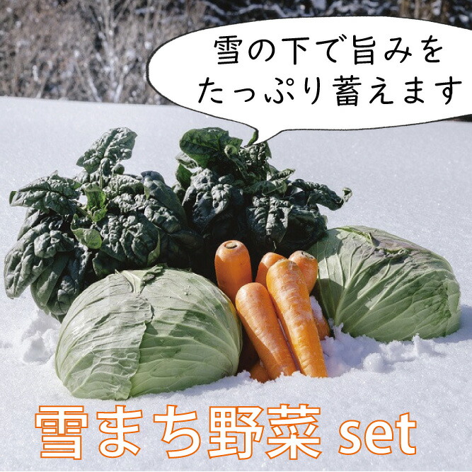 楽天市場】【ふるさと納税】奥信濃 黒姫生(なま）そばセット（そば３袋