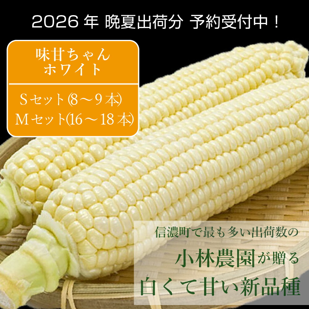 【ふるさと納税】2026年夏の予約受付開始！小林農園の白くて甘いとうもろこし『味甘ちゃんホワイト（みかんちゃんほわいと）』8～9本 / 16～18本 令和8年9月上旬から10月下旬に出荷予定【長野県信濃町】
