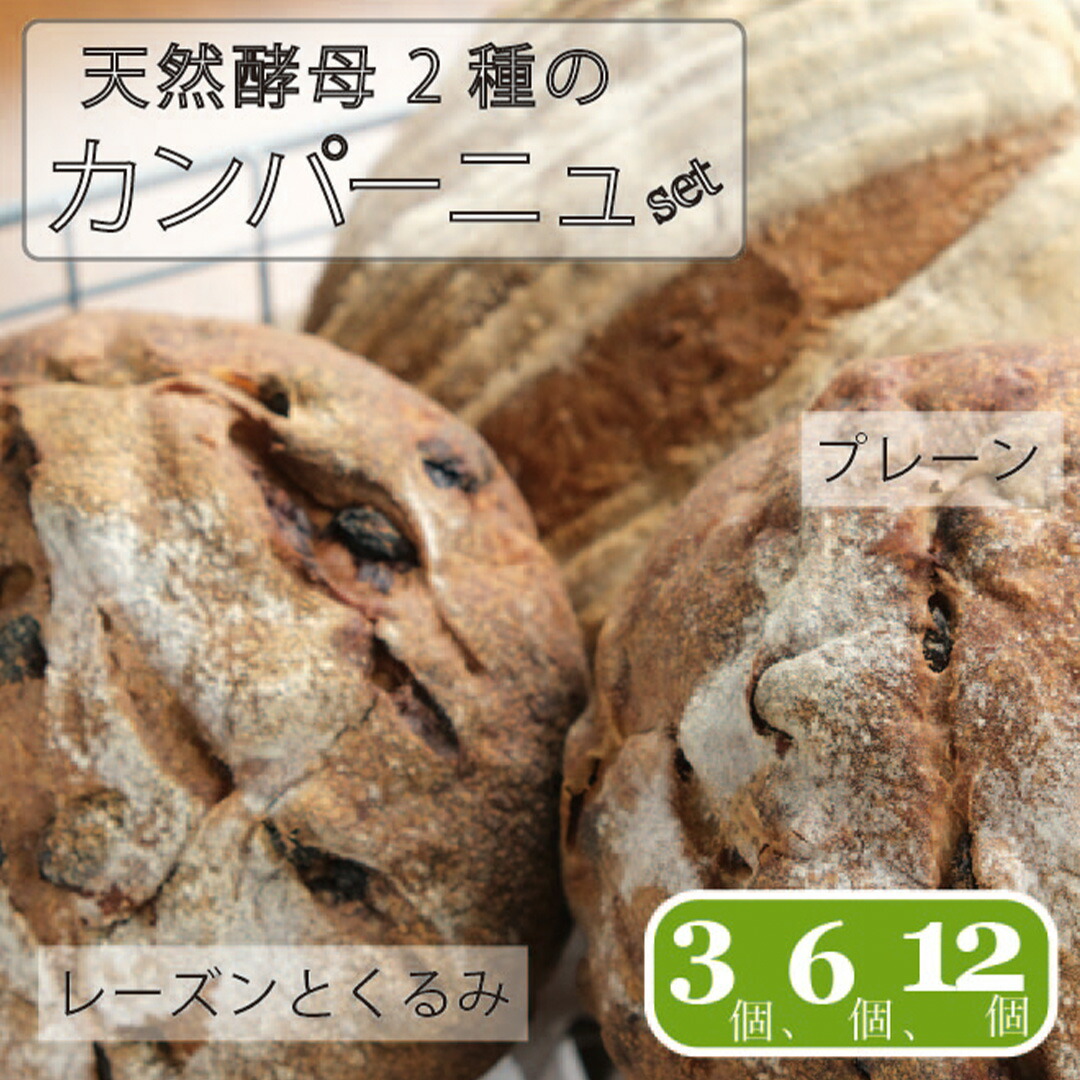 【ふるさと納税】「パン小舎（pangoya）」のカンパーニュ＆レーズンとくるみのパン　自家製天然酵母パン｜長野県産ゆめかおり使用【長野県信濃町ふるさと納税】