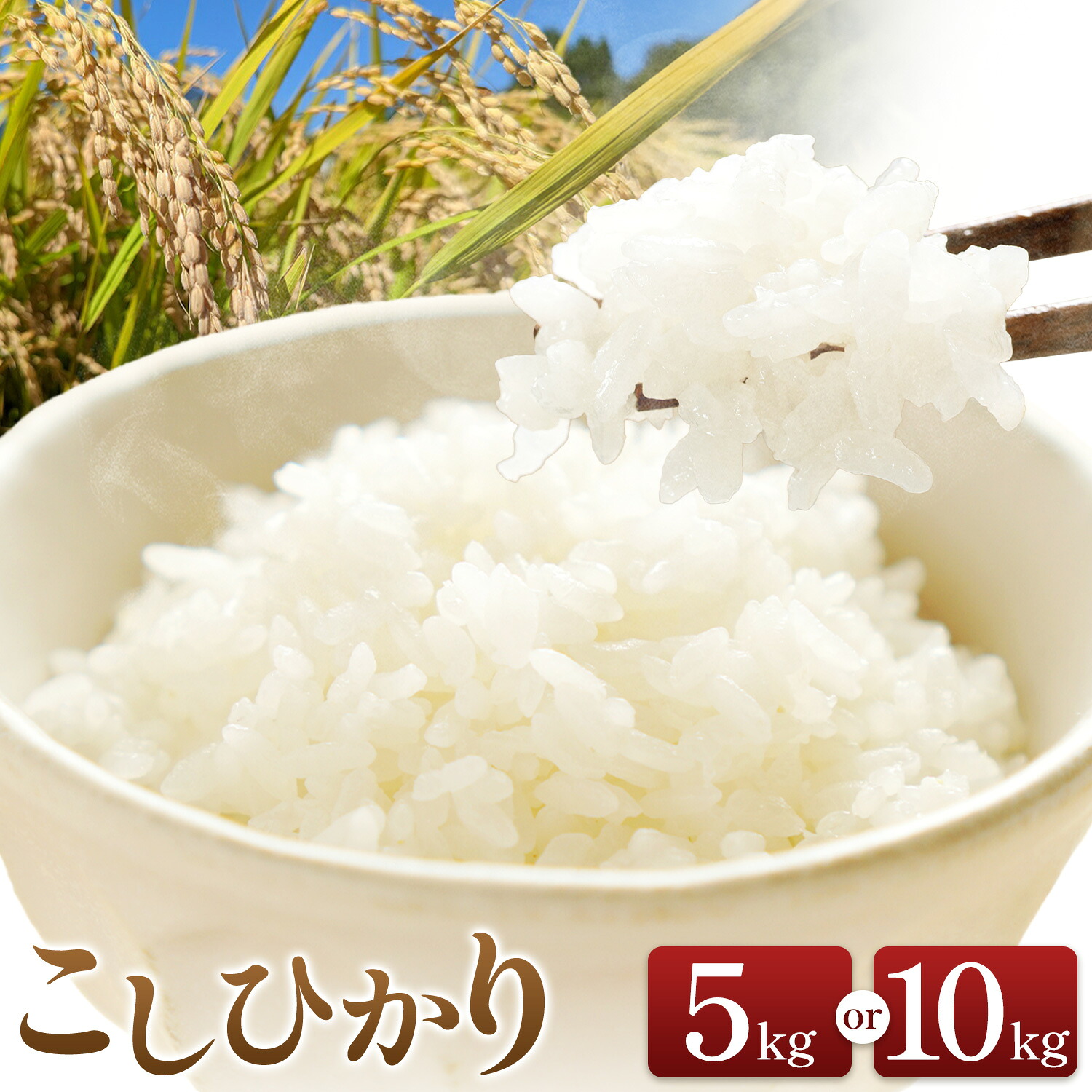 【ふるさと納税】米 白米 こしひかり 5kg または 10kg 有限会社仁の蔵 《10月上旬-12月上旬頃出荷予定》長野県 信濃町 米 白米 精米 コシヒカリ｜長野県信濃町