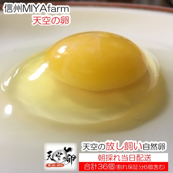 【ふるさと納税】381＊信州MIYAFARM　「天空の卵」有機野菜を食べて育った放し飼い自然卵　30個（割れ保証分6個付き　合計36個）