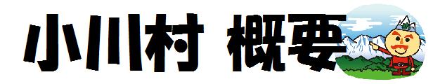 楽天市場】【ふるさと納税】308＊農の花 季節のおやきセット20個 : 長野県小川村