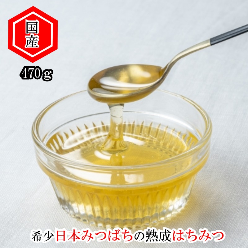 【ふるさと納税】420＊国産日本ミツバチ熟成はちみつ　百花蜂蜜470ｇ