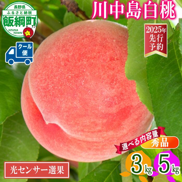 【ふるさと納税】《光センサー選別品》 桃 もも 3kg 5kg 川中島白桃 長野県産 白桃 秀品 品質保証 糖度保証 令和7年 先行予約 〔 R7 ギフト 果物 くだもの フルーツ 信州 26000円 17000円 〕長野 飯綱町 発送期間：2025年8月下旬～2025年9月中旬  沖縄県への配送不可