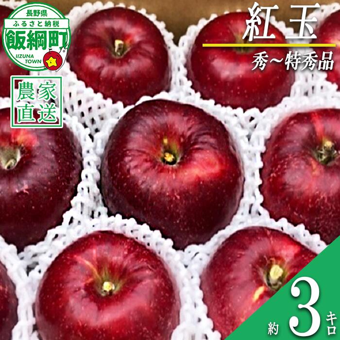 【ふるさと納税】 りんご 紅玉 秀 ～ 特秀 3kg サイズおまかせ 井澤農園 沖縄県への配送不可 令和7年度収穫分 エコファーマー認定 長野県 飯綱町 〔 信州 果物 フルーツ リンゴ 林檎 長野 15000円 予約 農家直送 〕発送時期：2025年10月上旬～2025年11月中旬 {***}