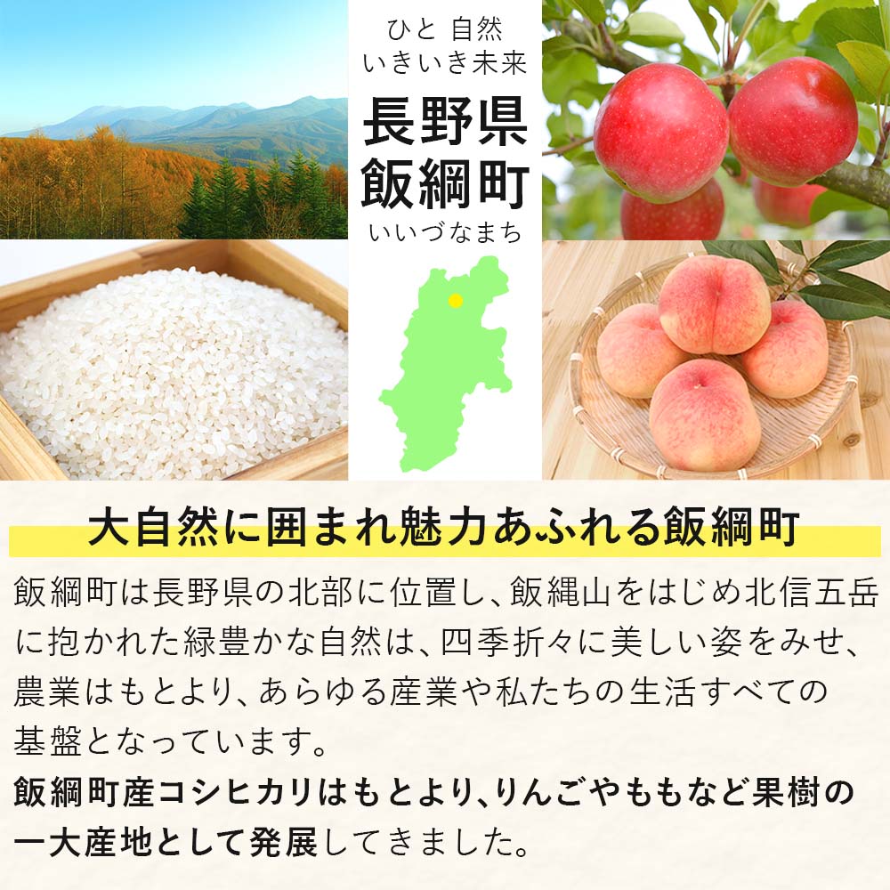 お米 長野県 5kg 令和2年産 5kg 12回 新米 飯綱町 12カ月 皇室献上実績米 定期便 米 ふるさと納税 信州 特a こしひかり 長野県 白米 コシヒカリ の 先行予約 飯綱町 黒川米