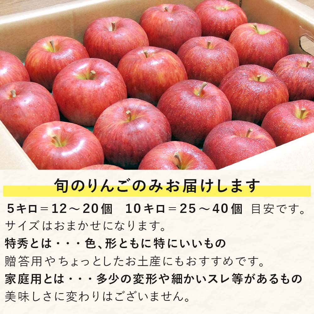 の 信州 2種のりんご りんご ふるさと納税 先行予約 ふるさと納税 5kg の シナノスイート セット サンふじ 王林 などのいずれか 長野県 飯綱町 飯綱町産 林檎 リンゴ 果物 フルーツ 品種の指定は不可 お届け 年11月上旬