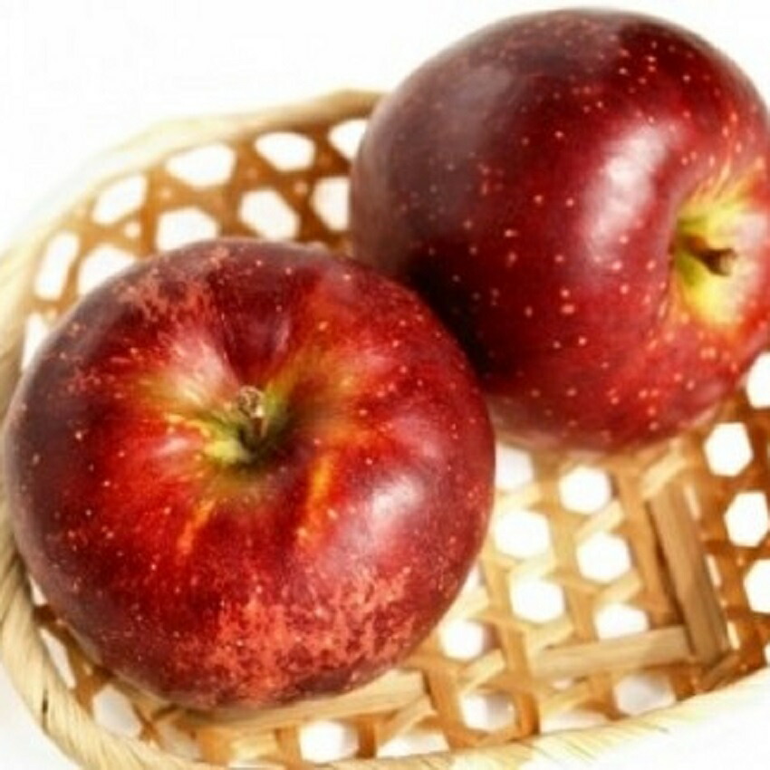 ふるさと納税 行く先限定 秋場写真絵 身内費用 5kg 沖縄および離島への配る不可 丸山リンゴ園庭 長野県 飯綱聚落 飯綱町作り出す 林檎 りんご 林檎 果物 フルーツ 長野 信州 送出 21老いらく10お月さま上旬 M Teckseac Com