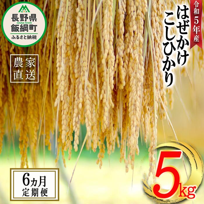 楽天市場】【ふるさと納税】 米 こしひかり 玄米 10kg ( 令和5年産