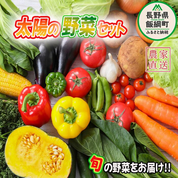 【ふるさと納税】 太陽の野菜セット 配送先は本州限定 【 季節ごと旬の野菜 80サイズ段ボール1箱分 】( 化学肥料 除草剤 不使用 )〔 野菜 詰め合わせ 野菜 セット 信州 長野 飯綱町 15000円 〕 発送時期：2025年7月上旬～2025年11月上旬