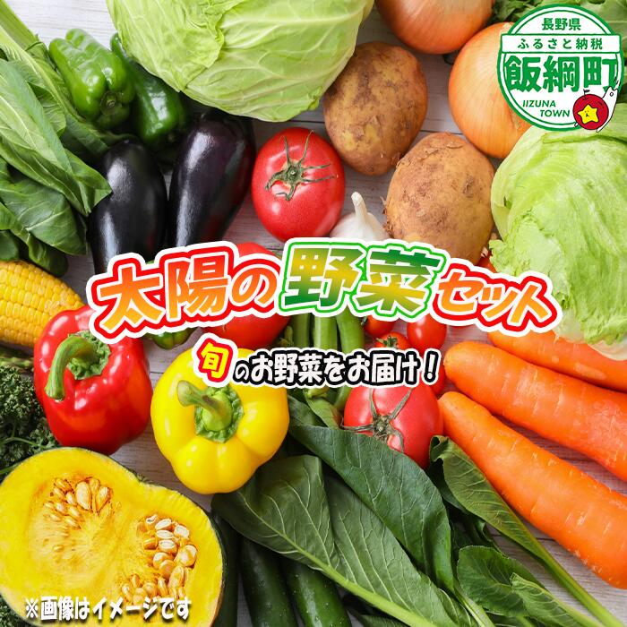 【ふるさと納税】 太陽の野菜セット 配送先は本州限定 【 季節ごと旬の野菜 80サイズ段ボール1箱分 】( 化学肥料 除草剤 不使用 )〔 野菜 詰め合わせ 野菜 セット 信州 長野 飯綱町 17000円 〕 発送時期：2026年7月中旬～2026年11月上旬｜長野県飯綱町