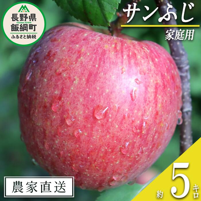 【ふるさと納税】 りんご サンふじ 家庭用 5kg 寺島農園 沖縄県への配送不可 令和7年度収穫分 長野県 飯綱町 【 信州 果物 フルーツ リンゴ 林檎 長野 予約 農家直送 14000円 】発送時期：2025年11月下旬～2026年2月上旬 {**}
