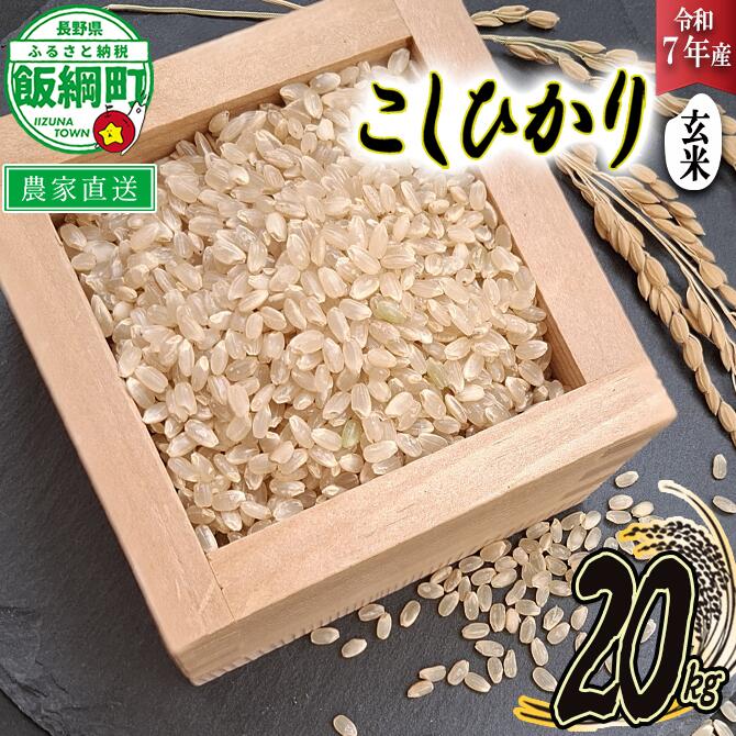 【ふるさと納税】 玄米 こしひかり 20kg  ( 令和7年産 )  寺島農園 長野県 飯綱町 【 米 コシヒカリ 新米 白米 精米 お米 信州 予約 農家直送 】発送時期：2025年10月上旬～