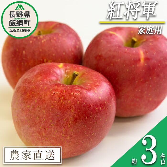 【ふるさと納税】 りんご 紅将軍 家庭用 3kg 永野農園 沖縄県への配送不可 令和7年度収穫分 長野県 飯綱町 〔 信州 果物 フルーツ リンゴ 林檎 長野 予約 農家直送 10000円 〕発送時期：2025年9月下旬～2025年10月上旬