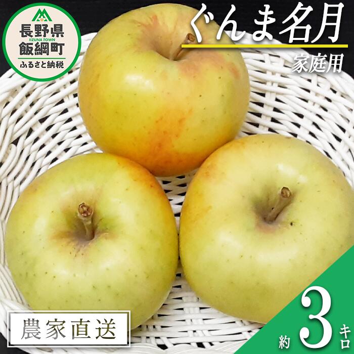 【ふるさと納税】 りんご ぐんま名月 家庭用 3kg 永野農園 沖縄県への配送不可 令和7年度収穫分 長野県 飯綱町 〔 信州 果物 フルーツ リンゴ 林檎 長野 予約 農家直送 10000円 〕発送時期：2025年11月上旬～2025年11月下旬