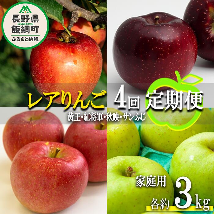 【ふるさと納税】 珍しい レア 人気 旬の りんご 〔 定期便 〕 家庭用 3kg × 4回 永野農園 沖縄県への配送不可 令和7年度収穫分 長野県 飯綱町 〔 信州 果物 フルーツ リンゴ 林檎 長野 予約 農家直送 〕発送時期：2025年8月中旬～2025年12月中旬