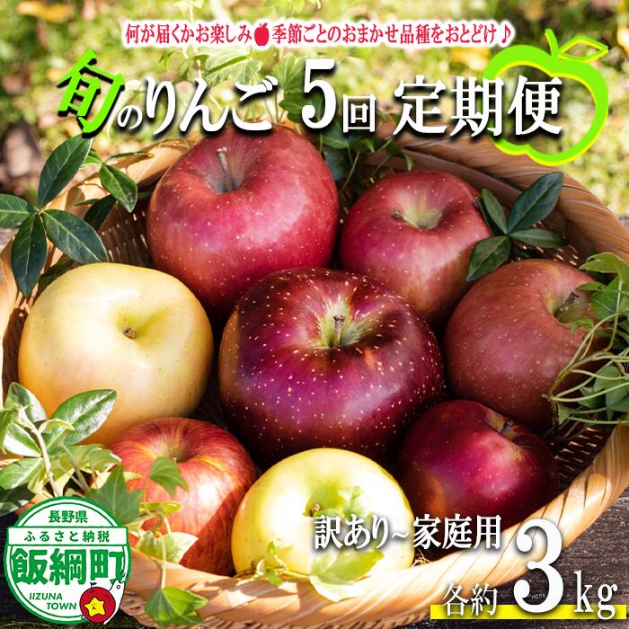 【ふるさと納税】 おまかせりんご定期便 3kg &times; 5回 訳あり 家庭用 永野農園 沖縄県への配送不可 〔 果物 フルーツ 林檎 長野 予約 農家直送 不揃い 規格外 3キロ 定期便 〕【令和8年度収穫分】 発送：2026年8月上旬～｜長野県飯綱町