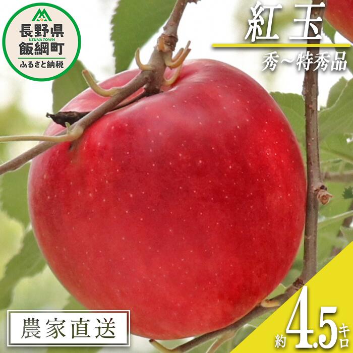 【ふるさと納税】 りんご 紅玉 秀 ～ 特秀 4.5kg （～23玉） ヒライ農園 沖縄県への配送不可 令和7年度収穫分 信州の環境にやさしい農産物認証 減農薬栽培 長野県 飯綱町 【 果物 フルーツ リンゴ 林檎 信州 長野 15000円 】発送期間：2025年10月上旬～2025年10月中旬