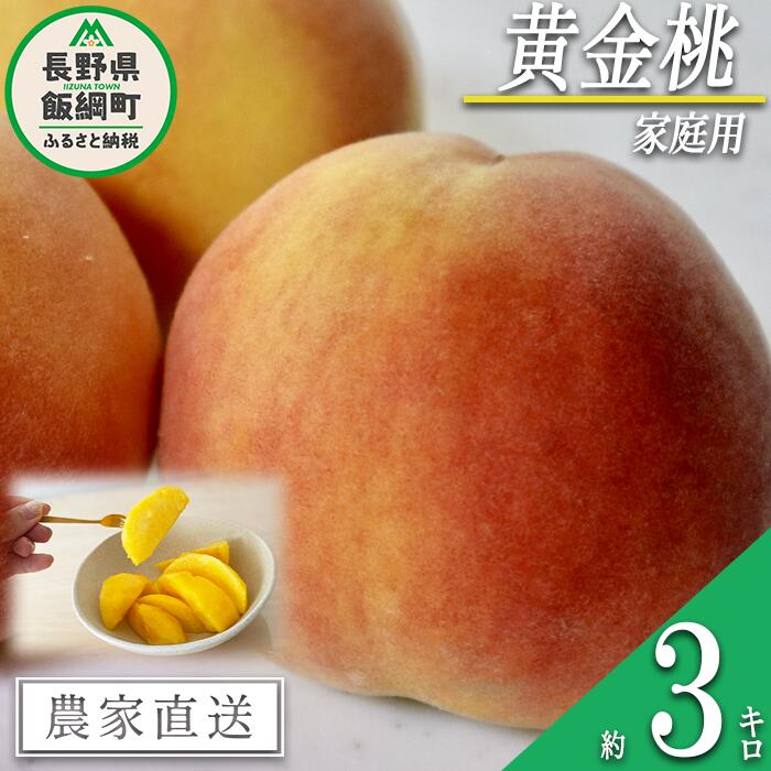 【ふるさと納税】 もも 黄金桃 ( 袋かけ無し ) 家庭用 3kg 松橋りんご園 配送先は本州限定 令和7年度収穫分 長野県 飯綱町 〔 信州 果物 フルーツ モモ 桃 長野 15000円 予約 農家直送 〕発送時期：2025年8月下旬～2025年9月上旬