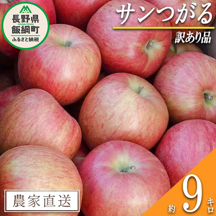 【ふるさと納税】 りんご サンつがる 訳あり 9kg 松橋りんご園 沖縄県への配送不可 令和8年度収穫分 長野県 飯綱町 〔 傷 不揃い わけあり 信州 果物 フルーツ リンゴ 林檎 長野 19000円 予約 農家直送 〕発送時期：2026年9月上旬～2026年9月中旬 {*}