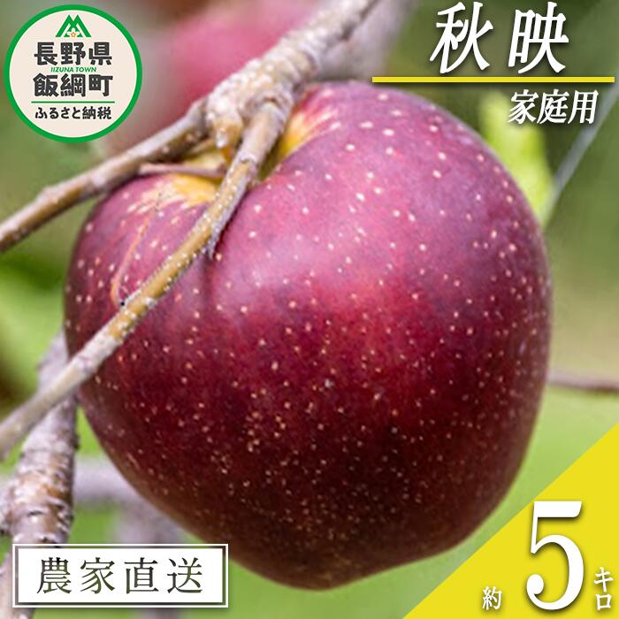 【ふるさと納税】 りんご 秋映 家庭用 5kg 松橋りんご園 沖縄県への配送不可 令和7年度収穫分 長野県 飯綱町 〔 信州 果物 フルーツ リンゴ 林檎 長野 12000円 予約 農家直送 〕発送時期：2025年10月上旬～2025年10月中旬 {**}