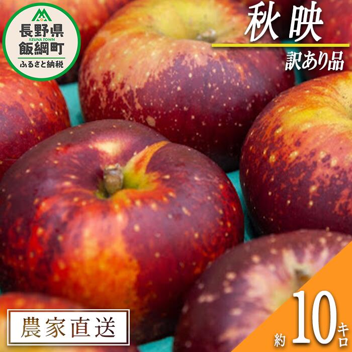 【ふるさと納税】 りんご 秋映 訳あり 10kg 松橋りんご園 令和7年度収穫分 長野県 飯綱町 〔 傷 不揃い わけあり リンゴ 林檎 果物 フルーツ 信州 長野 20000円 予約 農家直送 〕発送時期：2025年10月上旬～2025年10月中旬 {*}