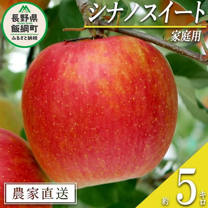 【ふるさと納税】 りんご シナノスイート 家庭用 5kg 松橋りんご園 沖縄県への配送不可 令和7年度収穫分 長野県 飯綱町 〔 信州 果物 フルーツ リンゴ 林檎 長野 12000円 予約 農家直送 〕発送時期：2025年10月上旬～2025年11月上旬 {**}